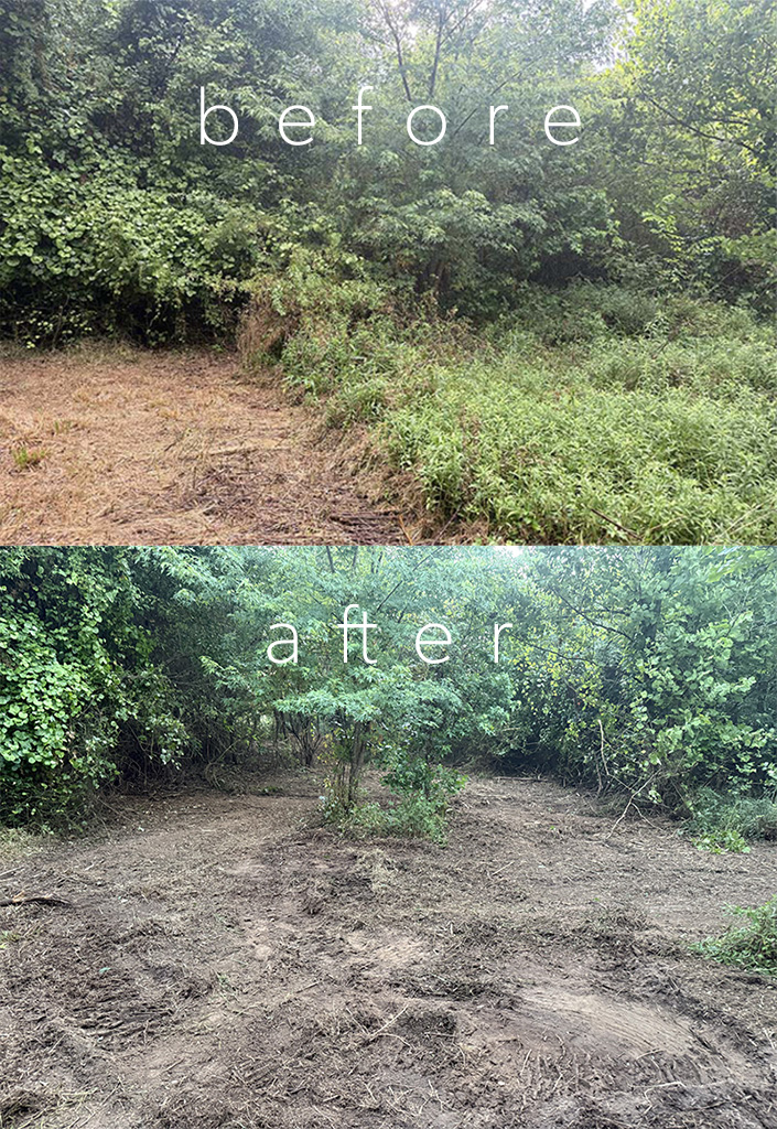 Forestry mulching on residential property