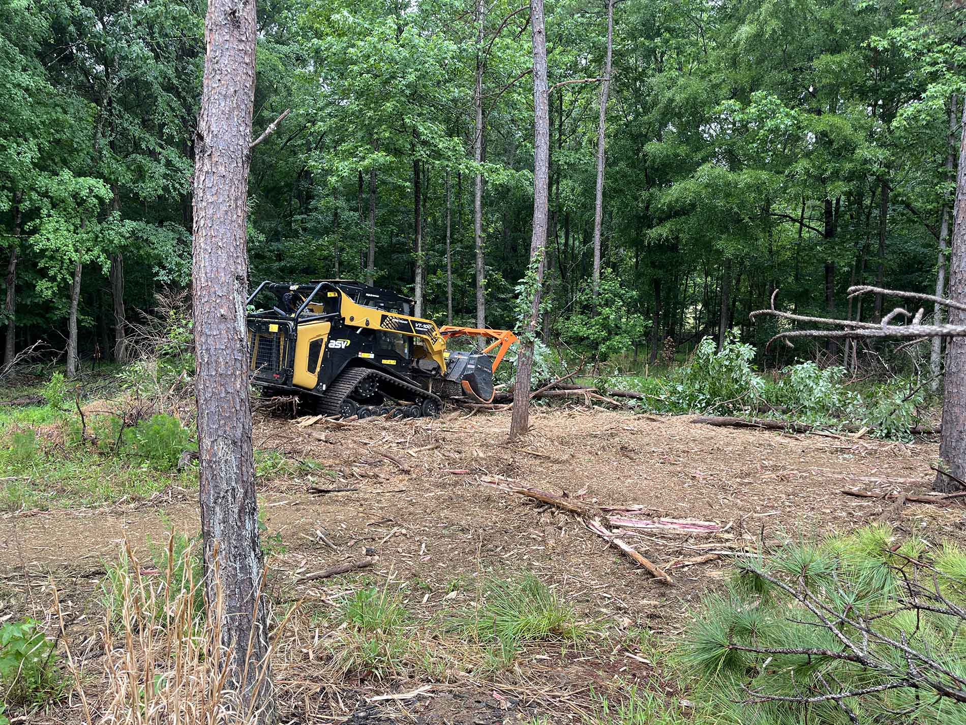 Large scale land clearing for farm